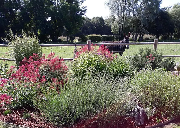 De La Houssiere Joue-du-Bois